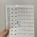 쭈노마켓 네이버블로그