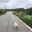 두륜산가든 네이버블로그