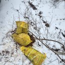 한주 꿀벌 농장 이미지