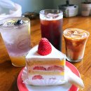 보라애견 | [ 천안 ] 애견동반카페 노트밀 신상케이크 딸기요거트 케이크 후기