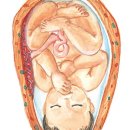 임신10개월 : 태아는 어떤 모습? 이미지