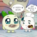 보구밍샵 | 속초 보구밍샵 두쫀쿠 내돈내산 구입 후기