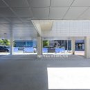 진주혁신레몬(010.8915.7378 이미지