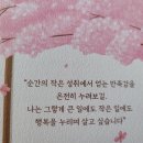 서부 할머니 Daum카페