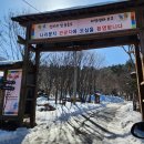 250214_[경북/울릉] 울릉도 애견동반 가족여행 입도 1일차(2)