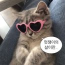 안경박사 외대점 이미지