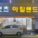 펫츠아일랜드 이미지