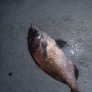 부산실내바다낚시터 이미지