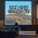 신라마트 - 서대문구 | 18개월 아기랑 동탄 신라스테이 할리우드 객실 후기