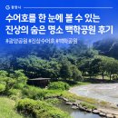 백학동 공원 | 한 눈에 볼 수 있는 진상의 숨은 피크닉 명소 백학공원 후기 #광양공원 #수어호 #광양피크닉 #백학공원