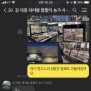 토마토의농비어천가 이미지