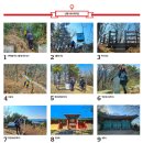 등산로(상) 티스토리