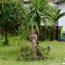 제주타이펜션 이미지