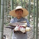 담양죽순영농조합법인