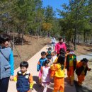 압해서초등학교 이미지