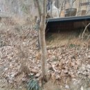 구인농장 이미지