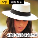 [상품 체험] 7만원 대 신세계 몰 인기, 파나마모자(파나마햇) 체험단 모집(5명)