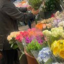 영신꽃화원 이미지