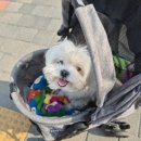 앙꼬네 미용실 이미지