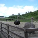 삼양농장 이미지