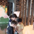 트로피컬라이언 이미지
