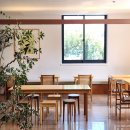 충무로애견 | 충무로역 카페 . 애견동반 가능한, 플랜테리어가 인상적인 햇살 맛집 필동 헤베커피