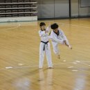 화랑태권도체육관 이미지