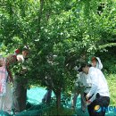 김진관농장 이미지