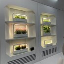 [KES 2024] 코엑스 박람회 | 제 55회 한국전자전 | 삼성전자 | LG