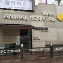 경기중앙동물병원 이미지