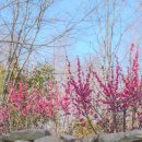 청산농장2 이미지