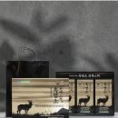 흑염소 진액스틱 이미지