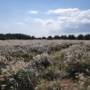 따라비태양광발전소 이미지