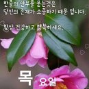 해피데이 이미지