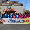 얼음골사과