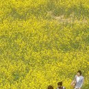 부경대학교(대연캠퍼스) 이미지