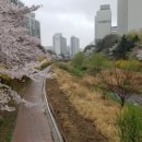 삼영전자 이미지