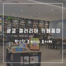 광교 갤러리아 까페꼼마 (광교 중앙역 인근 혼자 책읽기 좋은 북카페)