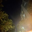 프로젝트삼백
