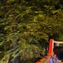 야경시티투어 이미지