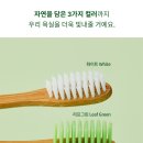 노아샵 이미지