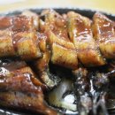 황소장어 이미지