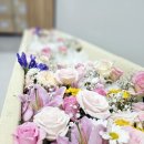 국민건강보험공단일산병원 이미지