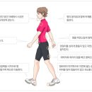 나르지오 티스토리