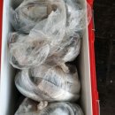 순찬낚시터 이미지