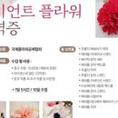 벨리타Belita 이미지