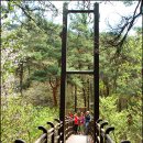 경상북도문화재연구원박물관 | 경북 경주 천년고도 노천박물관 남산에서 희열을 느끼다.