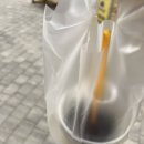 메가커피일산가로수길점