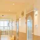 봄동살롱 이미지