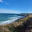 16코스(고내포구-항파두리-광령1리) #1-3 | [공지] 제주 올레 16코스 탐방기